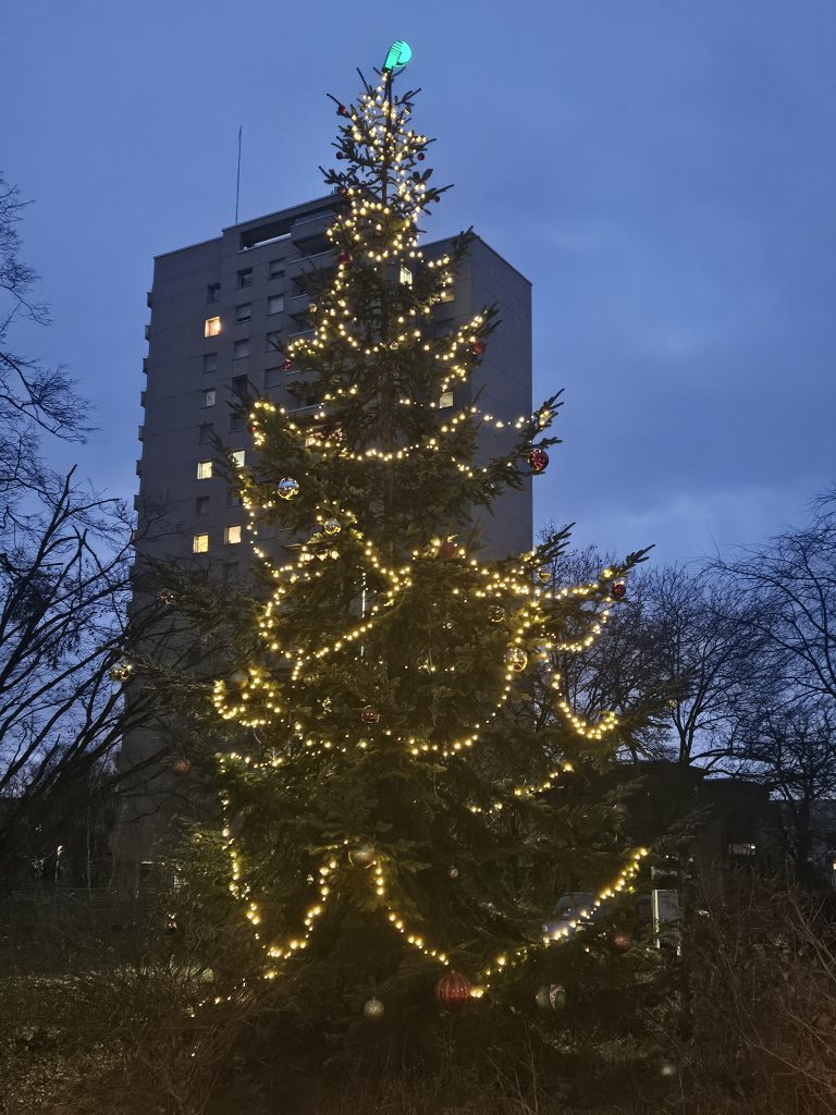 Weihnachtsbaum-Einleuchten